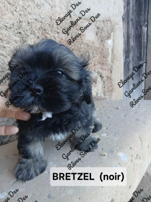 BRETZEL
